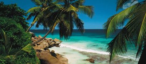 Search our luxury yacht charter database.